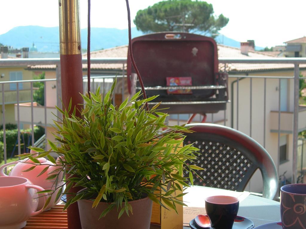 La Rondine Apartment Lucca