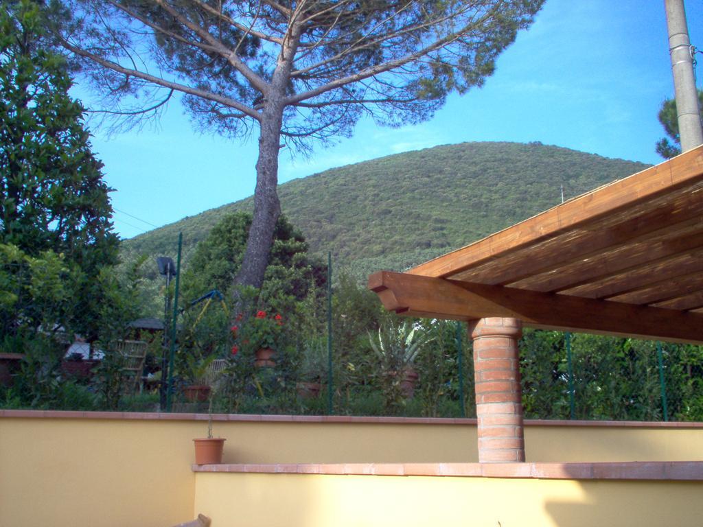 La Rondine