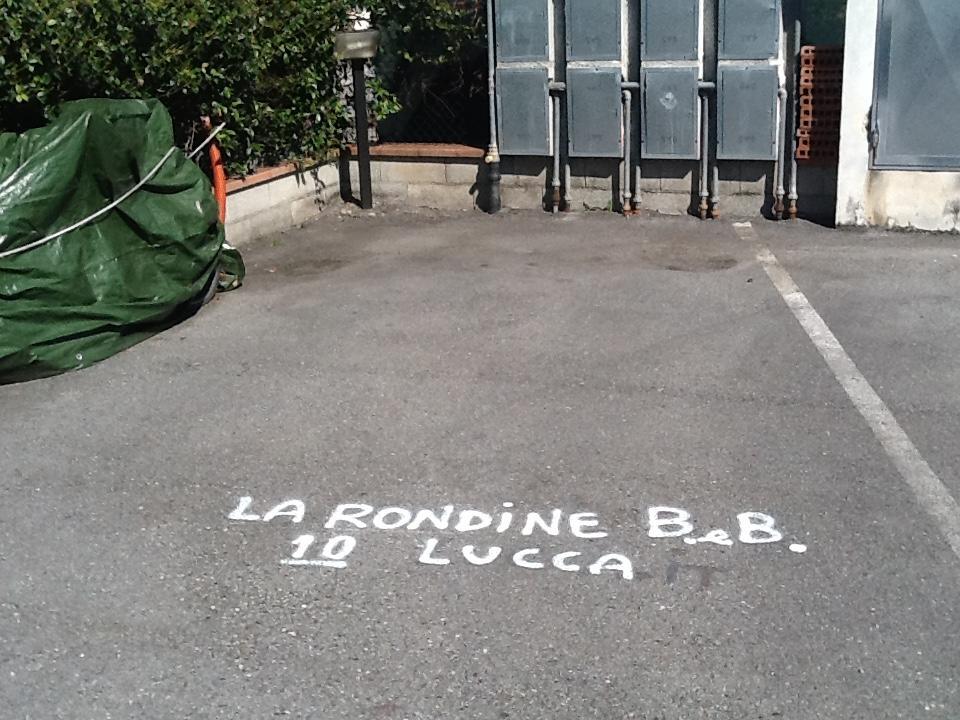 La Rondine *