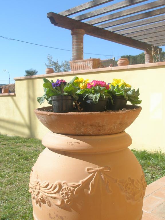 La Rondine Apartment Lucca